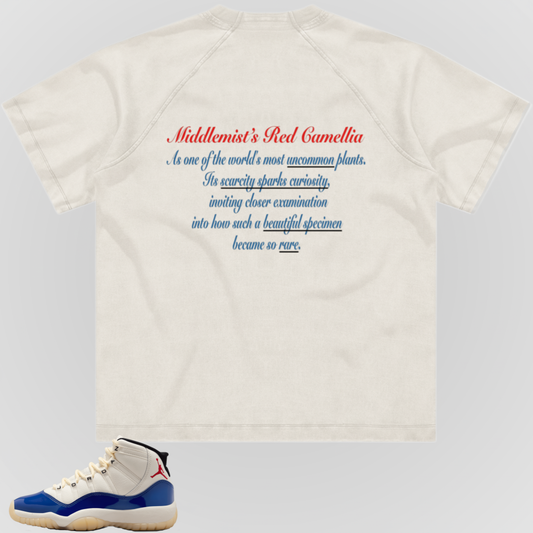 RARE | RAGLAN SLEEVE TEE