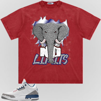 NO LIMITS (TB3) | RAGLAN SLEEVE TEE