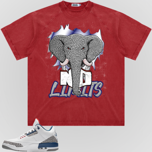 NO LIMITS (TB3) | RAGLAN SLEEVE TEE