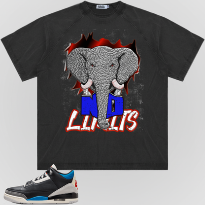 NO LIMITS (RARE AIR)| RAGLAN SLEEVE TEE